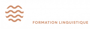 Dive In Formation Linguistique