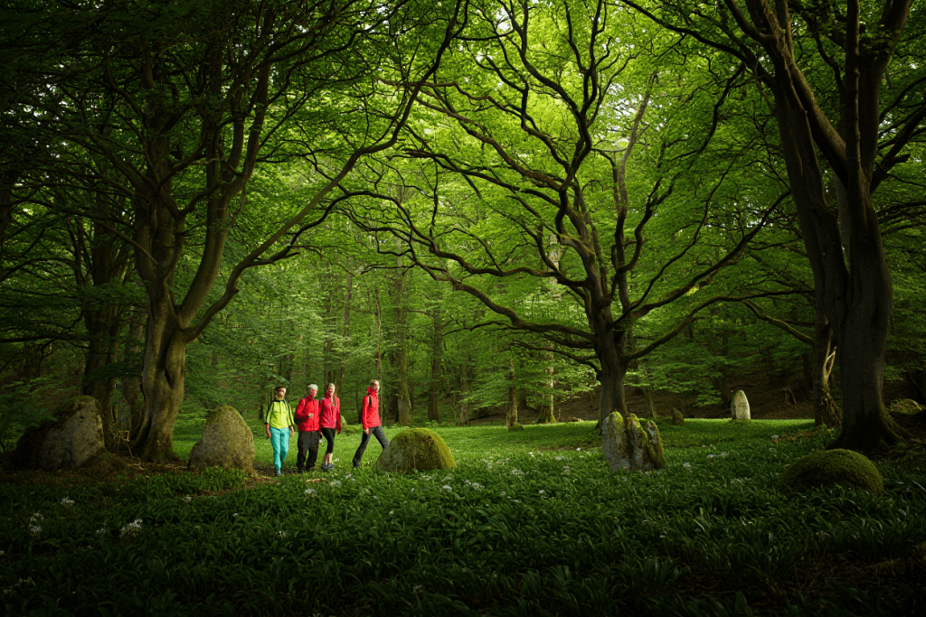 Formations d'anglais collectives et immersives sur la Presqu'île de Guérande.