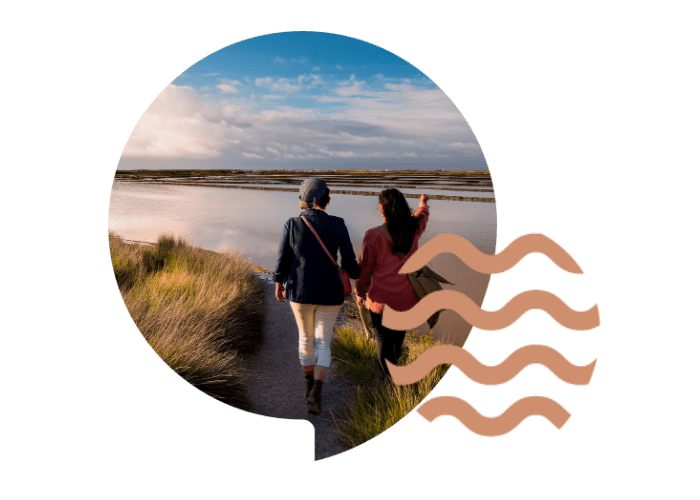 Dive In Formation Linguistique